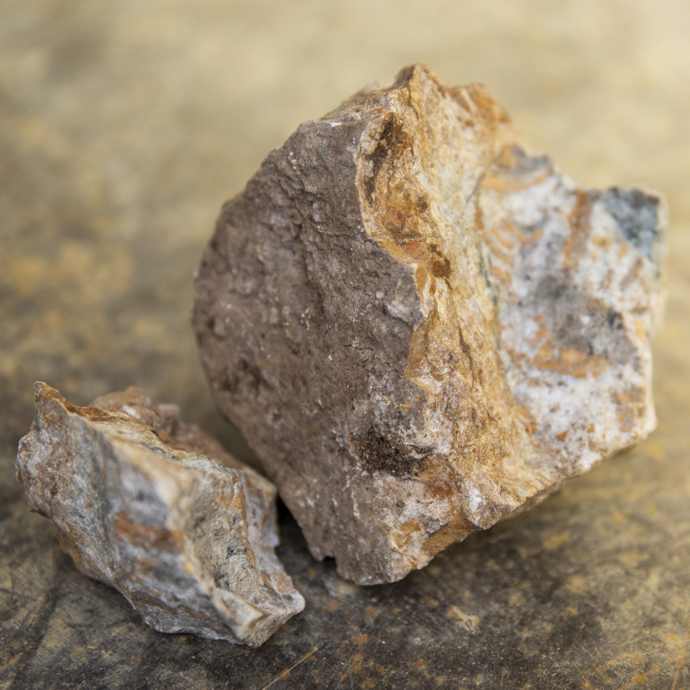 A broken drill-core specimen with visible mineralization resting on a wood surface